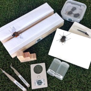 Insect Setting Kit