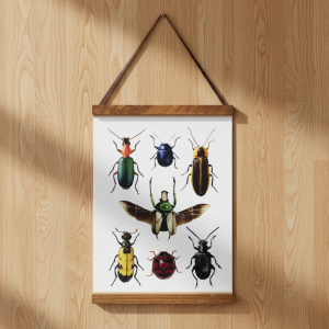 A3 Poster – Colourful